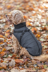 Pontis Vinterjakke med integreret hundesele - Blå 